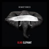 Blind Elephant