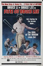 Fists Of Bruce Lee